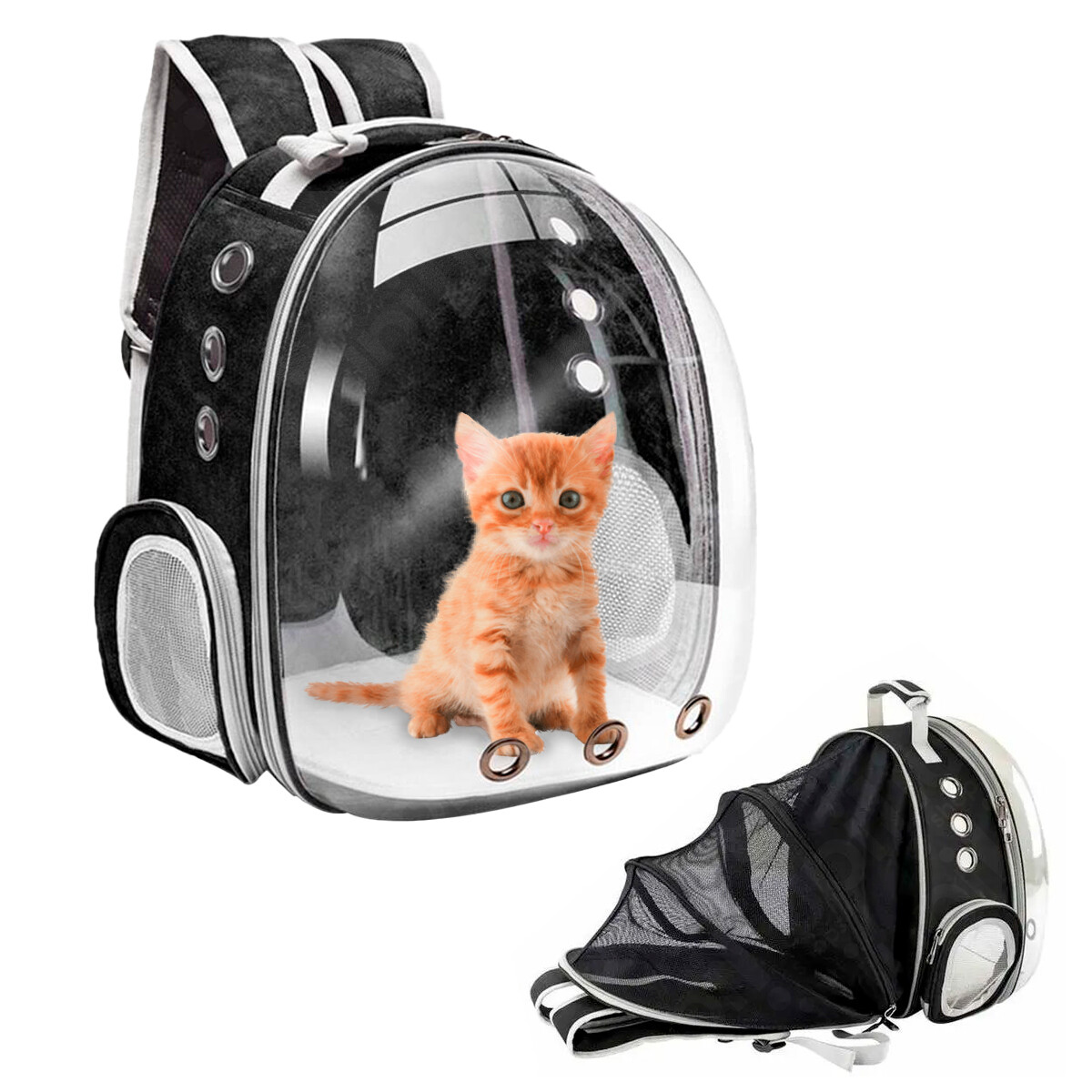 Mochila Bolso Mascotas Gato Perro Capsula - Color negro 