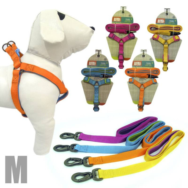 ARNÉS +CORREA PARA PERROS, COLORES VIVOS M ARNÉS +CORREA PARA PERROS, COLORES VIVOS M