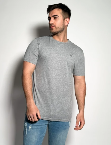 Remera Timo Gris