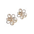 Broches pinzas dorada 2pcs(OW2224) Broches Pinzas Dorada 2pcs(ow2224)