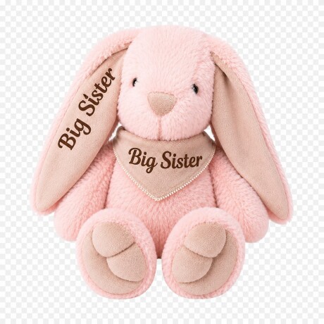 Peluche personalizado Big Sister