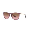 Ray Ban Rb4171 Erika 6591/14