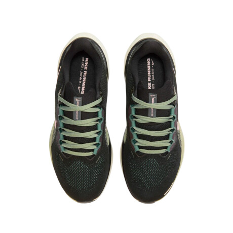 NIKE PEGASUS 41 Black & Green