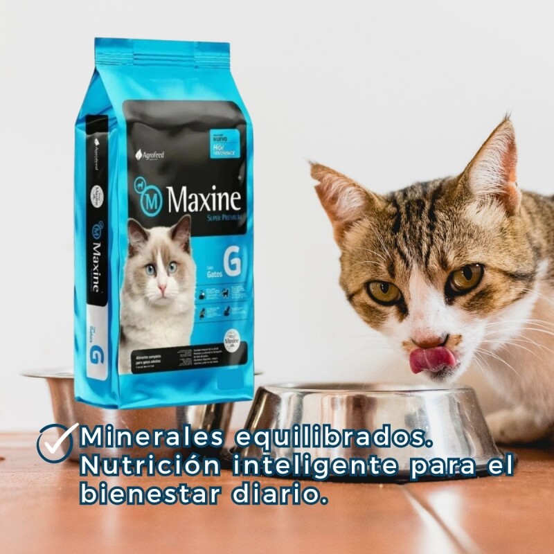 MAXINE GATOS ADULTOS 3 KG