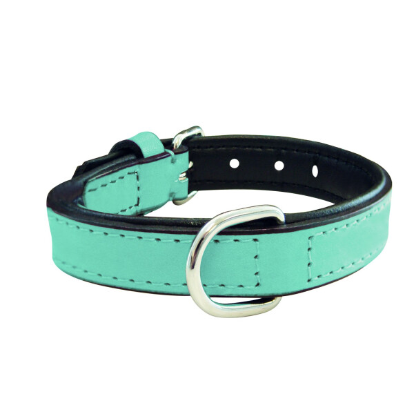 Collar de Piel Acolchado para Perros - Azul - 40cm x 20mm Collar de Piel Acolchado para Perros - Azul - 40cm x 20mm