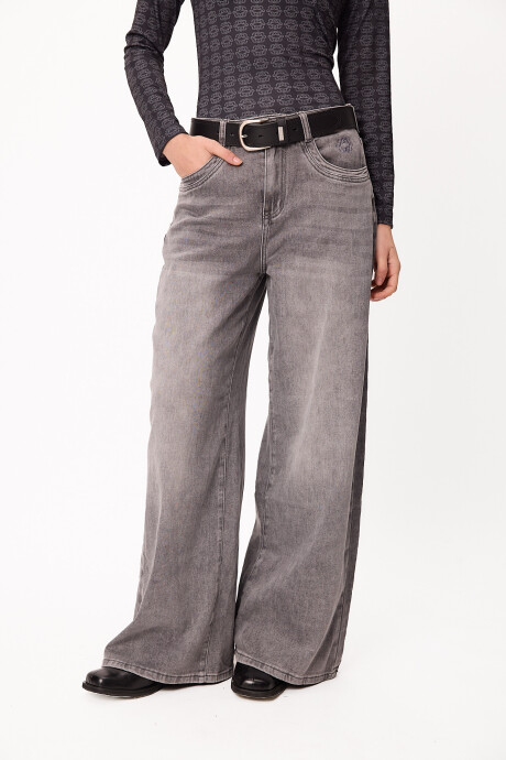 Jean Delhi Gris Washed