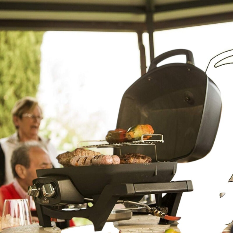 Parrilla gas Napoleon TravelQ PRO285 Parrilla gas Napoleon TravelQ PRO285