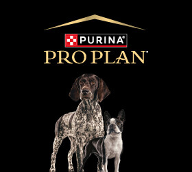 Purina