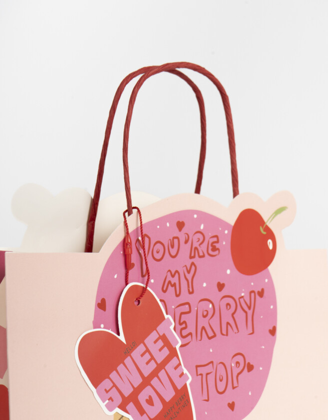 Accesorios Regalos Bolsa De Regalo M - Rosa Claro