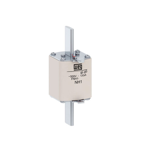 Fusible NH-1 160A GG WE9413