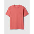 V-ORIGINAL PKT T DESERT FLOWER