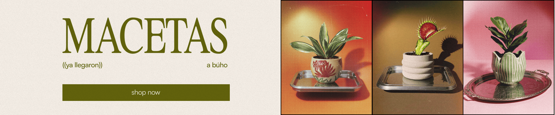 Macetas