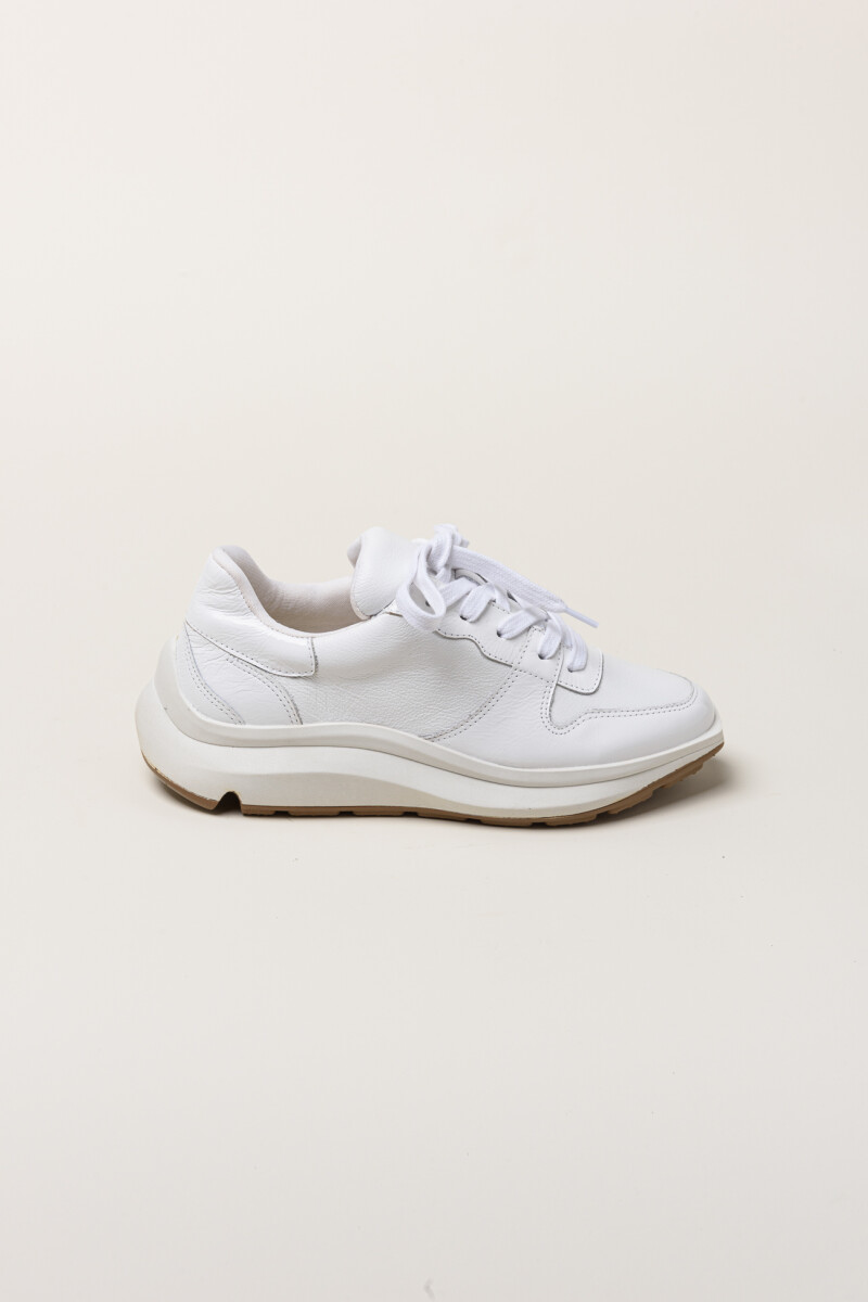 Champion Cury BLANCO