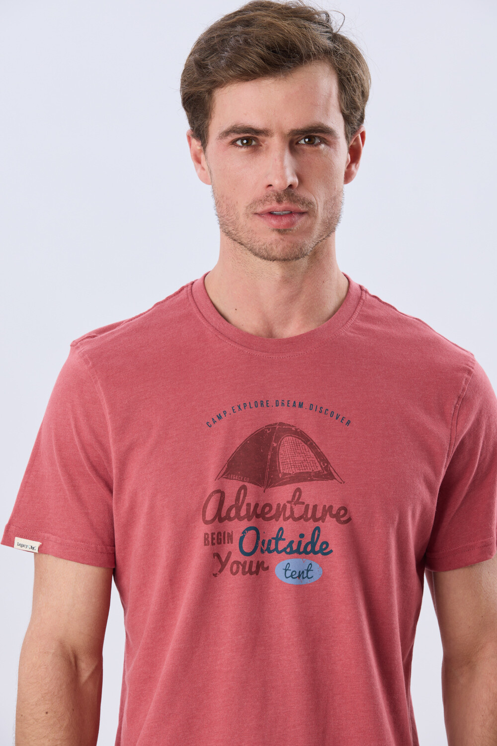 REMERA ESTAMPADA Ladrillo