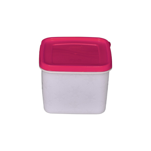 RECIPIENTE 1,0 L ALASKA PARA FREEZER COLORES SURTIDOS RECIPIENTE 1,0 L ALASKA PARA FREEZER COLORES SURTIDOS