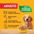 PEDIGREE EN SALSA ADULTO POLLO 100 GRAMOS PEDIGREE EN SALSA ADULTO POLLO 100 GRAMOS