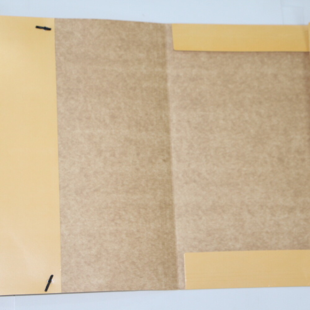 CARPETA PANCHROME CON ELASTICO 307 COLOR BEIGE CARPETA PANCHROME CON ELASTICO 307 COLOR BEIGE