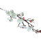 Rama De Cerezo En Flor Blanco