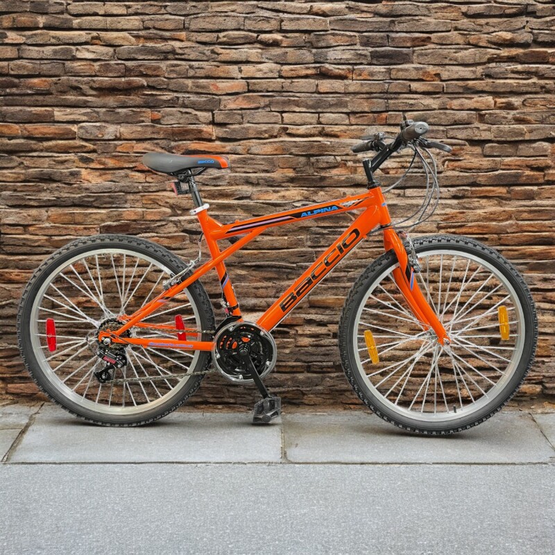 Bicicleta Baccio Alpina Man Montaña rodado 24 con 21 cambios NARANJA