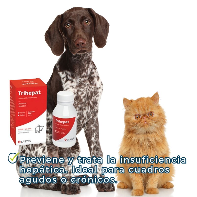 TRIHEPAT JARABE FRASCO 100 ML TRIHEPAT JARABE FRASCO 100 ML