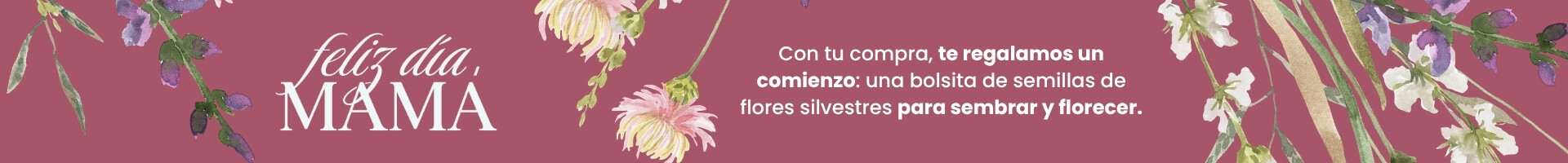 Regalo semillas