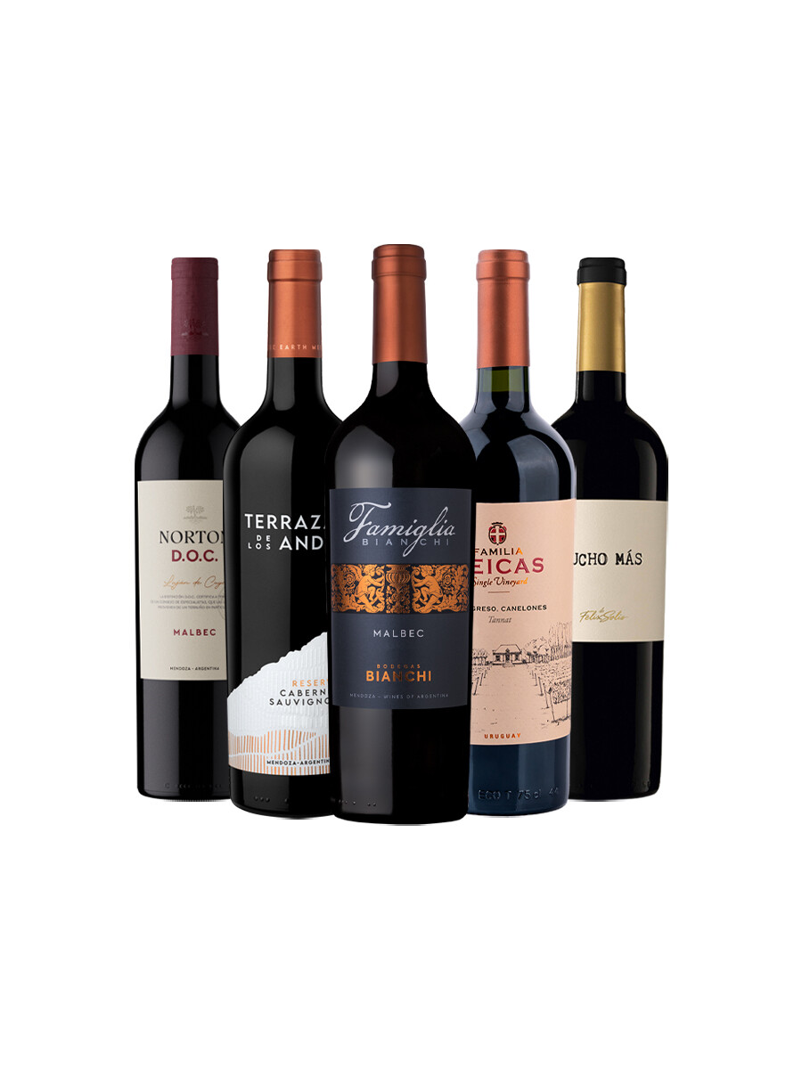 Pack Bacán Selección x5 vinos Elegidos del Mes Pack Bacán Selección x5 vinos Elegidos del Mes
