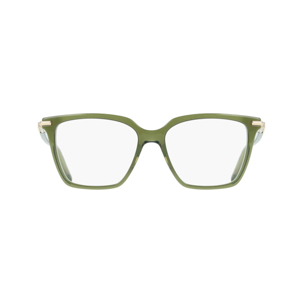 Ferragamo 3038/54 col 317 Ferragamo 3038/54 Col 317