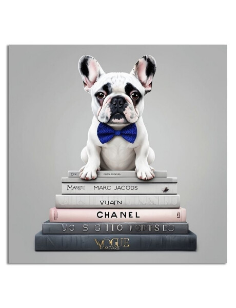 CUADRO CANVAS 40x40cm PERRO BULLDOG BLANCO 1 CUADRO CANVAS 40x40cm PERRO BULLDOG BLANCO 1