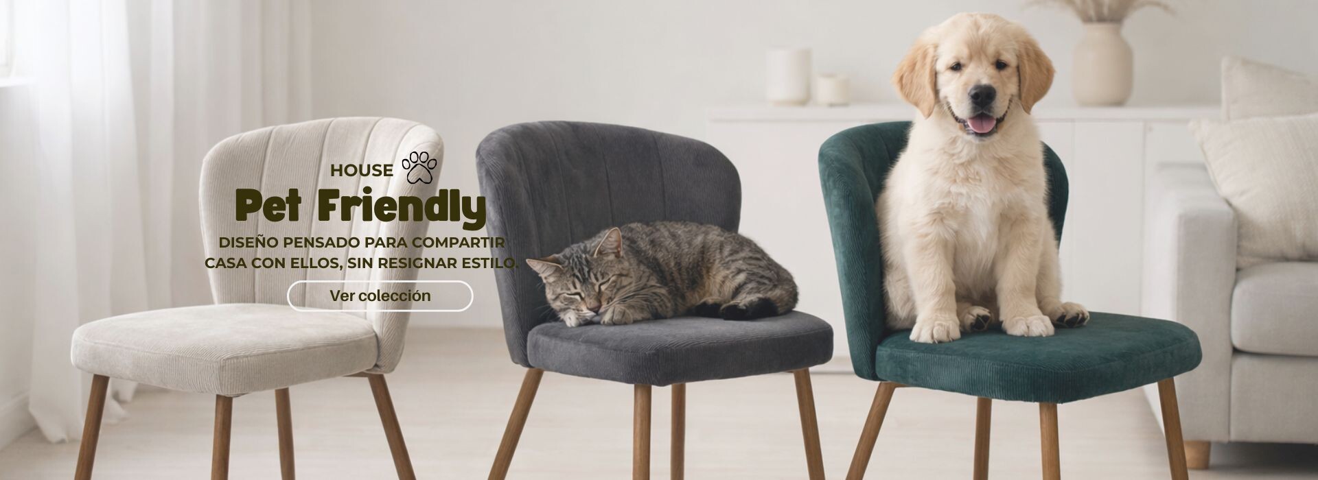 TEMPORADA DE COMEDORES