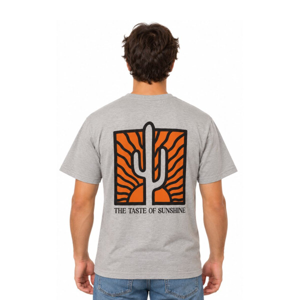 REMERA TASTE OF SUNSHINE M REMERA TASTE OF SUNSHINE M
