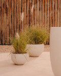 Macetero Grau de cemento blanco Ø 56 cm Macetero Grau de cemento blanco Ø 56 cm