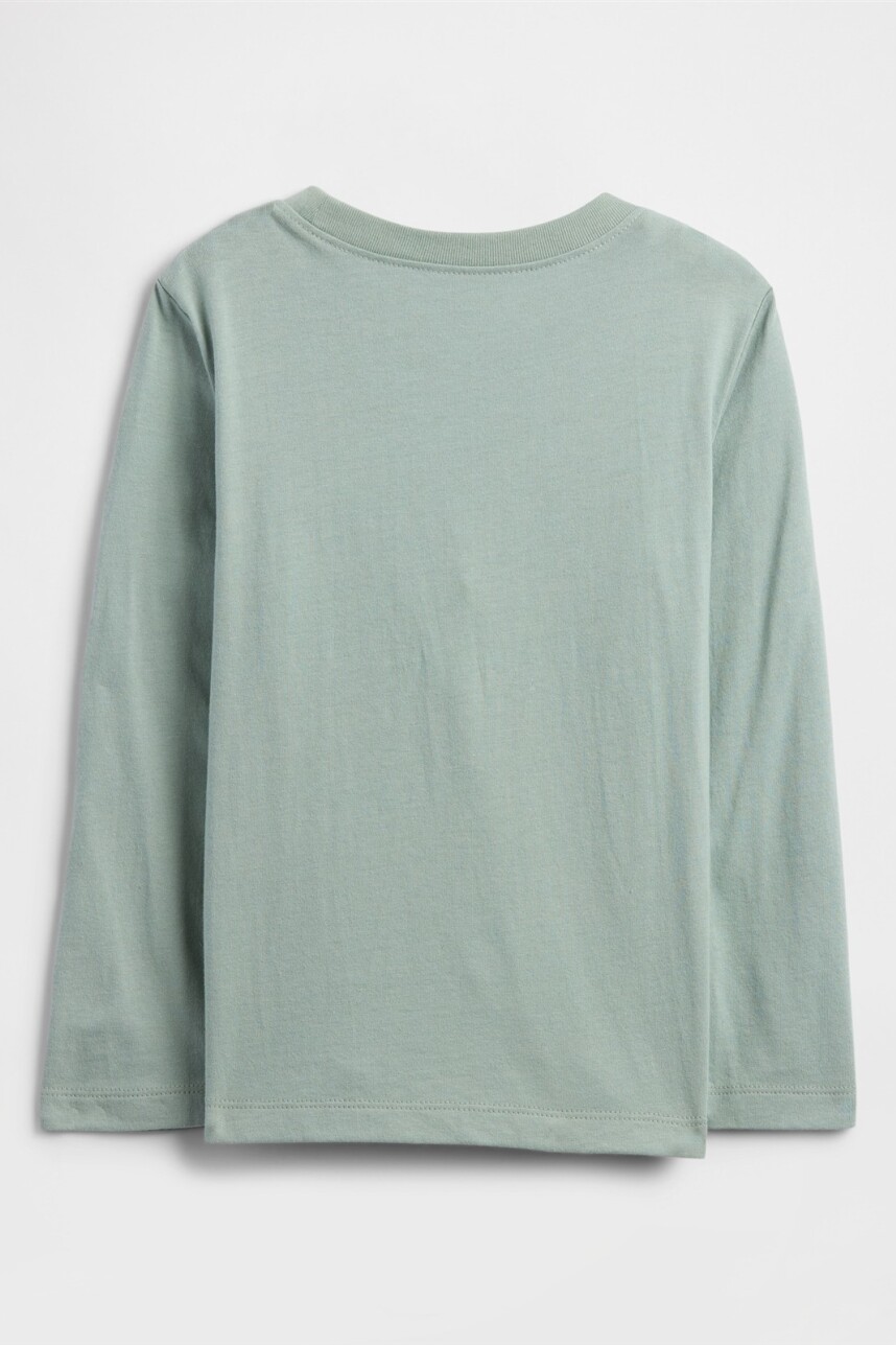 Remera Gràfico Toddler Niño Iceberg Green 16-5808