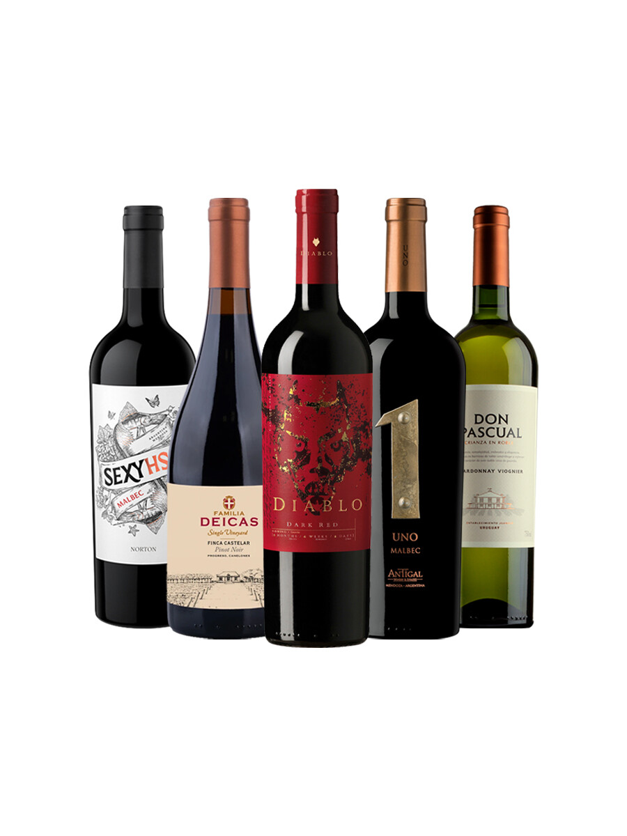Pack Bacán Selección The Wine Edit x5 vinos Cashmere Feel Pack Bacán Selección The Wine Edit x5 vinos Cashmere Feel