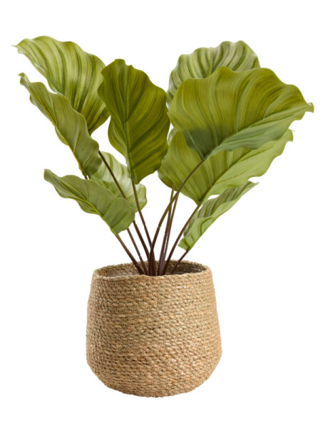 Maceta SEVERIN Ø20xH17cm natural Maceta SEVERIN Ø20xH17cm natural