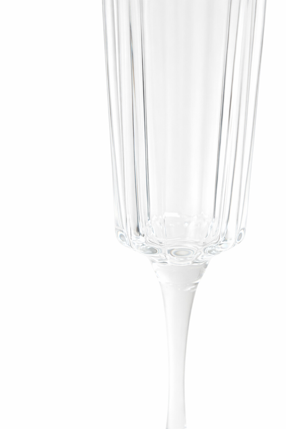 Copa Champagne Volta Estampado 1