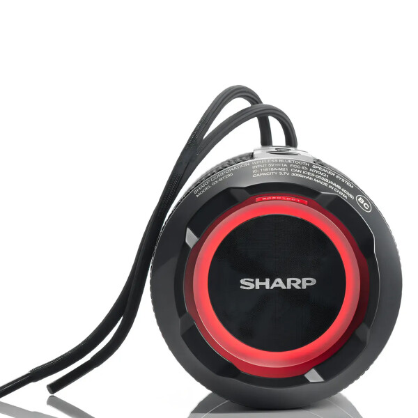 Parlante Portátil Sharp Bt290 NEGRO