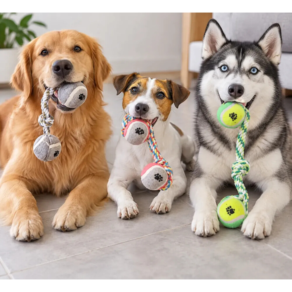 Juguete Para Perro De Cuerda y Dos Pelotas VERDE