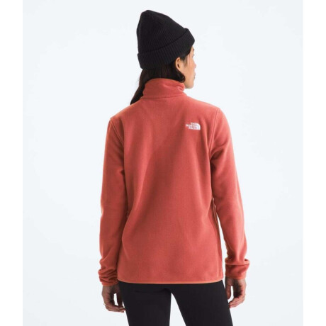 Buzo polar Glacier Mars Dust