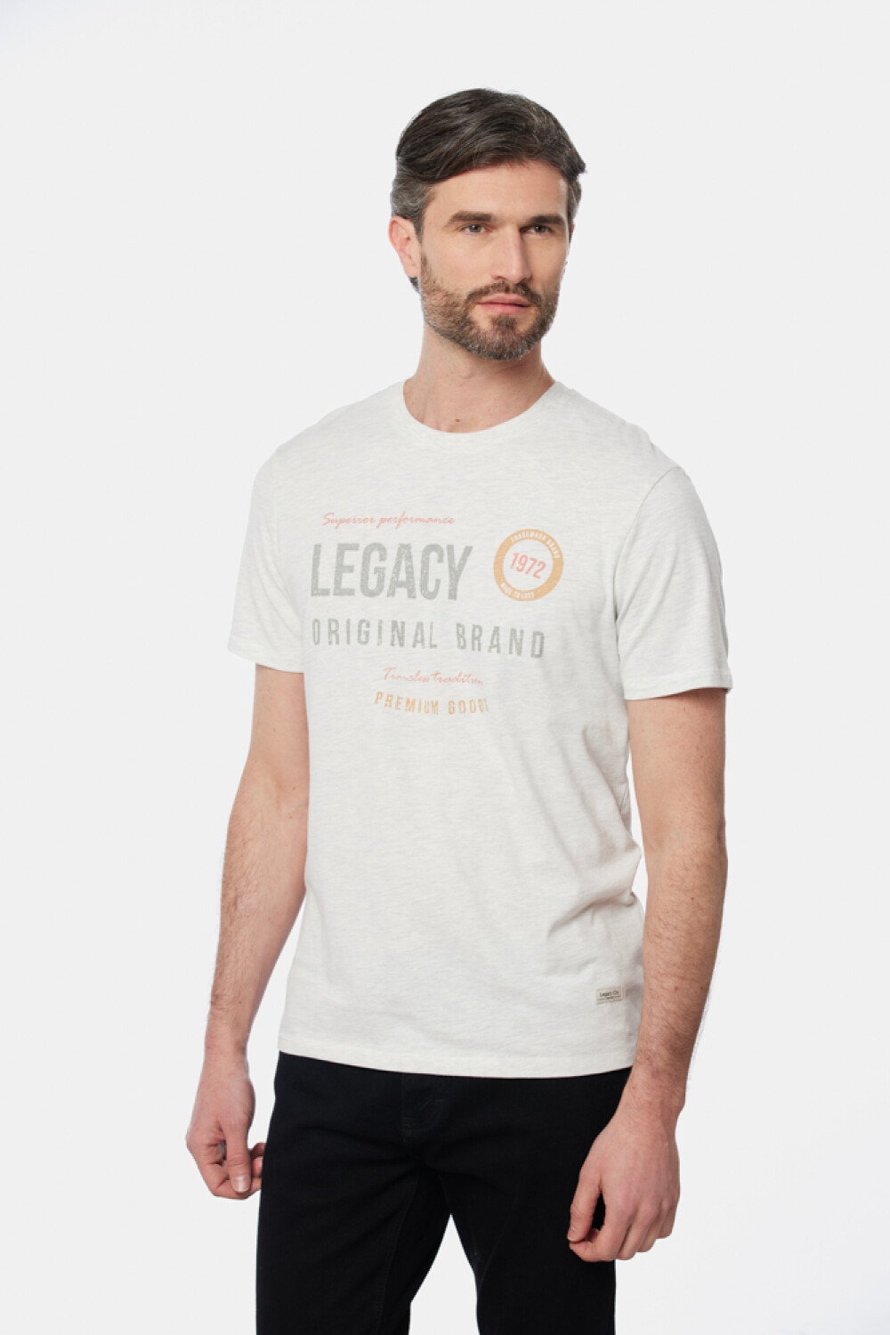 REMERA ESTAMPADA Gris