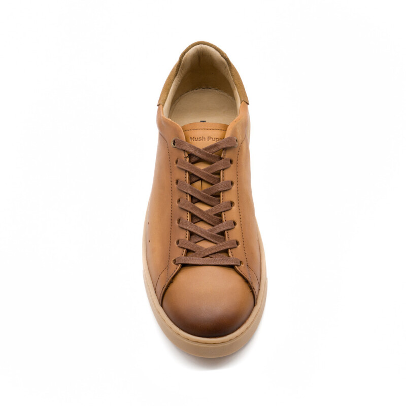 SNEAKER LATEGO/SUEDE HAVANA/BRONCE HAVANA