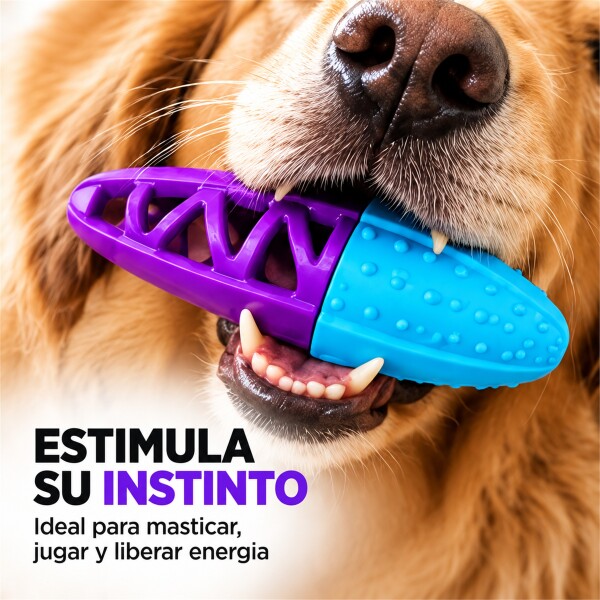 Juguete Morder Perros Gatos Limpieza Dental Golosinas Premio Celeste Violeta
