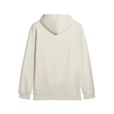 ESS+ 2 Col Big Logo Hoodie FL 58676487 Arena