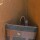 Mustang Backpack Chocolate / Negro