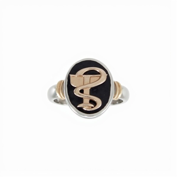 Anillo Profesión Químico Farmacéutico -Plata y Oro- Con Piedra Ónix -AP5053 sinpiedra