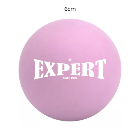 Bocha De Hockey Expert Para Entrenar Goma Gruesa Hky001001-rs