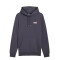 Buzo de Hombre Puma Col Small Logo Gris