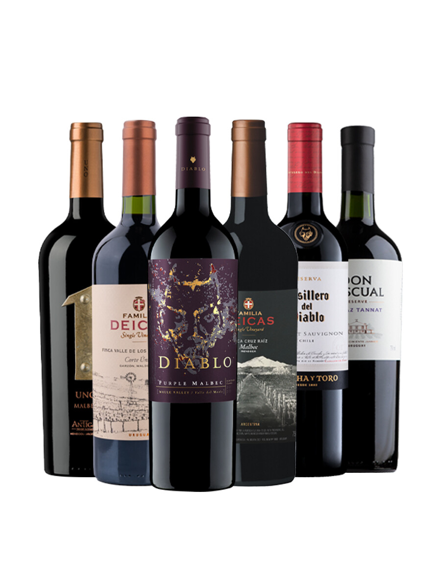 Pack Selección Best Seller de Junio x6 vinos tintos intensos Pack Selección Best Seller de Junio x6 vinos tintos intensos