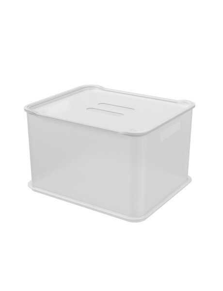 CANASTO C/TAPA PLASTICO RECT 38x32x23CM NATURAL CANASTO C/TAPA PLASTICO RECT 38x32x23CM NATURAL
