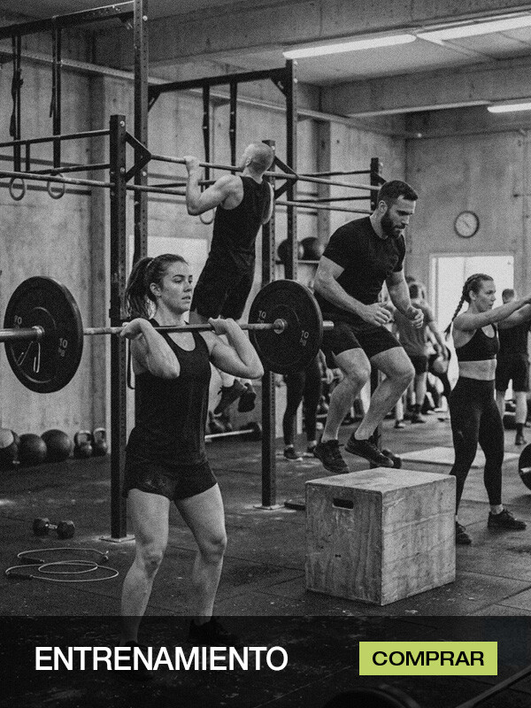 Entrenamiento