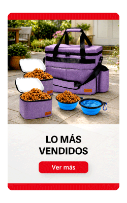 HomeGrupo3